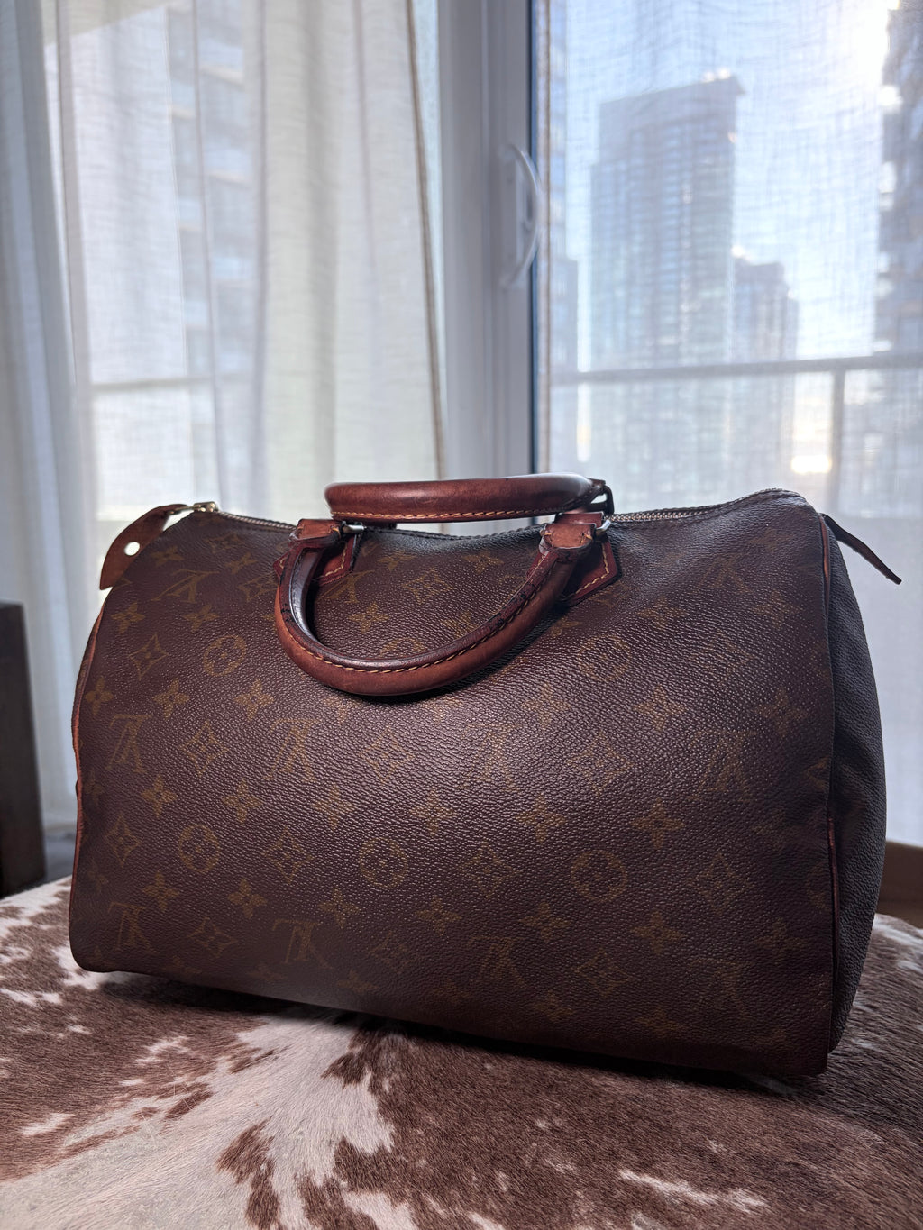 Louis Vuitton 35 Speedy